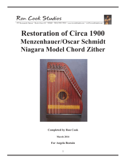 Schmidt/Menzenhauer Niagara Model Chord