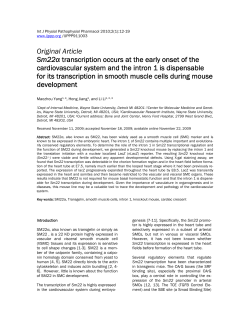 Original Article Sm22&alpha; transcription occurs at the early onset of the