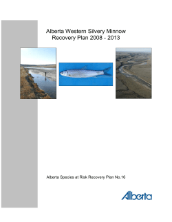 Alberta Western Silvery Minnow Recovery Plan 2008 -2013
