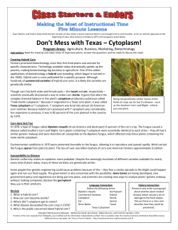 Texas Cytoplasm