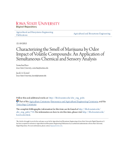 Characterizing the Smell of Marijuana by Odor Impact of Volatile