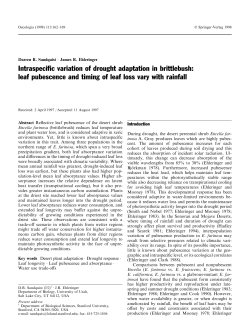 Intraspeci&reg;c variation of drought adaptation in brittlebush: leaf