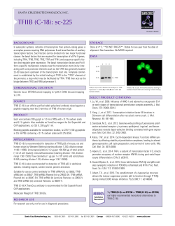 Datasheet Blank Template - Santa Cruz Biotechnology