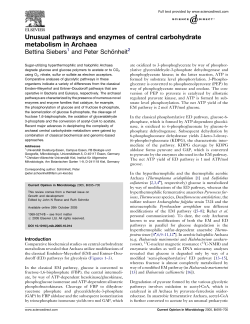 Unusual pathways and enzymes of central carbohydrate metabolism