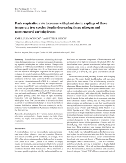 Dark respiration rate increases with plant size