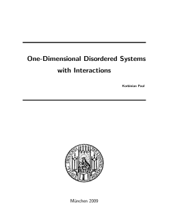 One-Dimensional Disordered Systems with Interactions