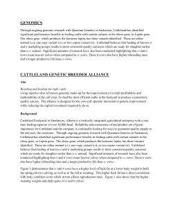genomics cattleland genetic breeder alliance