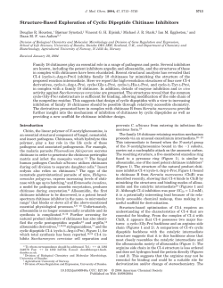 Structure-Based Exploration of Cyclic Dipeptide Chitinase Inhibitors