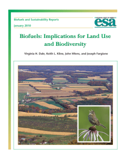 Biofuels: Implications for Land Use and Biodiversity