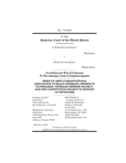 brief - The Constitution Project