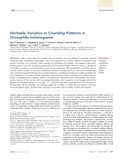Heritable Variation in Courtship Patterns in Drosophila melanogaster