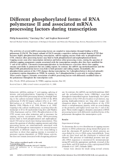 Different phosphorylated forms of RNA polymerase II and associated