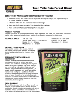 Tech Talk: Rain Forest Blend