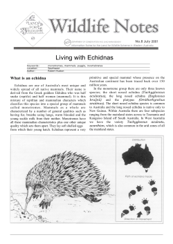 Living with Echidnas - Department of Parks and Wildlife