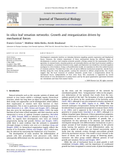 In silico leaf venation networks: Growth and