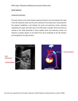 Placental insufficiency and aortic isthmus flow