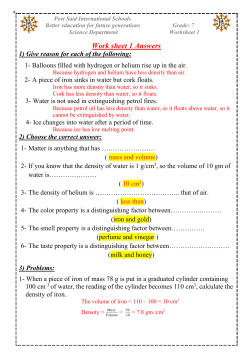 Port Said International Schools