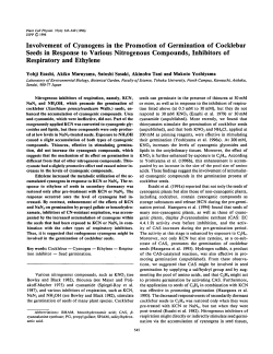 Involvement of Cyanogens in the Promotion of Germination of