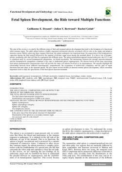Fetal Spleen Development, the Ride toward Multiple Functions