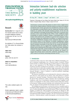 Interaction between bud-site selection and polarity