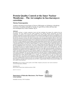 Protein Quality Control at the Inner Nuclear Membrane
