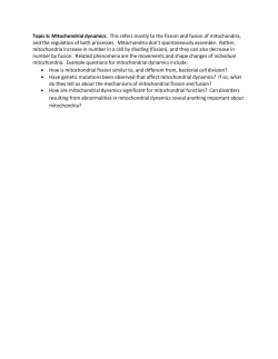 Topic 6: Mitochondrial dynamics. This refers mostly to the fission and