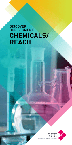 CHEMICALS/ REACH