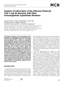 Pavlou, O., Theodorakis, C., Falk, J., Kutsche, M - IMBB