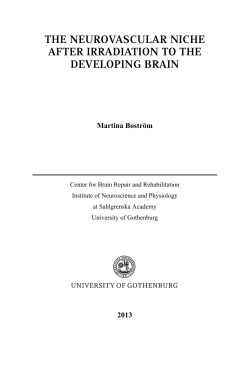 the neurovascular niche after irradiation to the developing