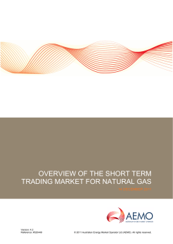 Overview of the Short Term Trading Market for Natural Gas