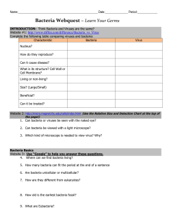 Bacteria Webquest Learn Your Germs
