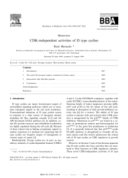 CDK-independent activities of D type cyclins