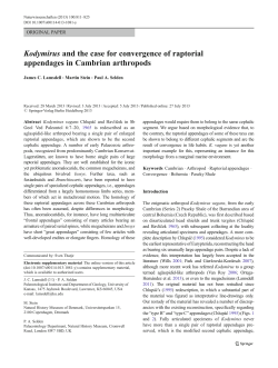 Kodymirus and the case for convergence of raptorial appendages in