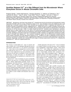 Syntillas Release Ca at a Site Different from the Microdomain Where