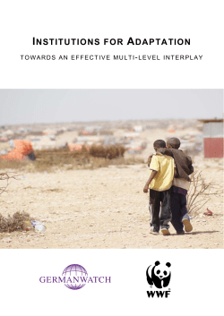 Institutions for Adaptation. Towards an Effective Multi