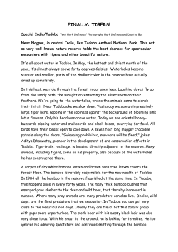 finally: tigers! - tigertrailstadoba