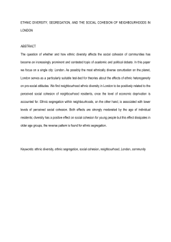 ETHNIC DIVERSITY, SEGREGATION, AND THE SOCIAL