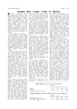 Surplus Rice Causes Crisis in Burma