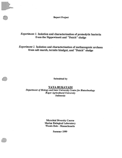 Rukayadi, Y. Isolation and characterization of proteolytic bacteria