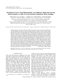 The Ratio of Leaf to Total Photosynthetic Area
