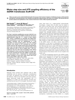 Motor step size and ATP coupling efficiency of the dsDNA
