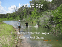 Ichthyology - Texas Master Naturalist