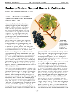 Barbera Finds a Second Home in California