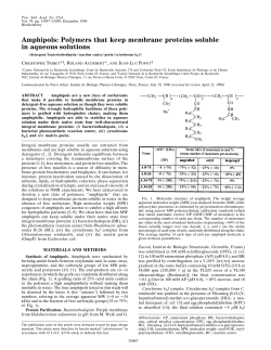 Amphipols: Polymers that keep membrane proteins soluble in