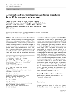 Accumulation of functional recombinant human coagulation factor IX