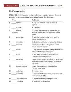 Urinary system - Dr Masoud Sirati Nir