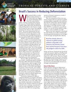 Brazil`s Success in Reducing Deforestation