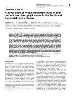 A novel clade of Prochlorococcus found in high nutrient low
