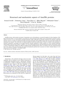 Structural and mechanistic aspects of Amt/Rh proteins