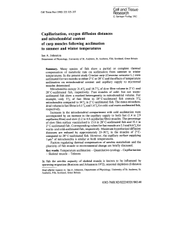 Capillarisation, oxygen diffusion distances and